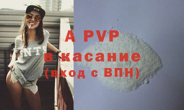 спиды Вяземский