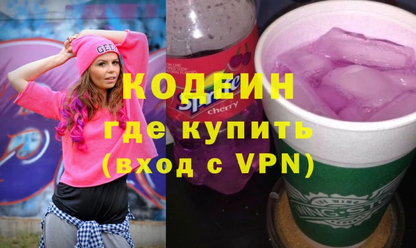 спиды Вяземский