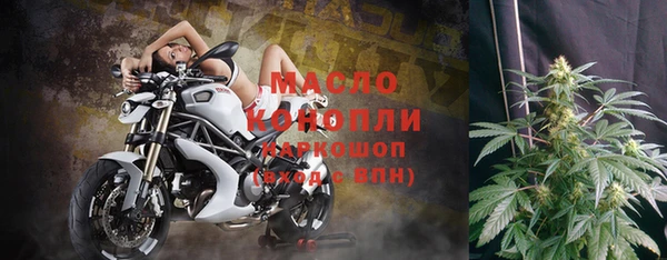 спиды Вяземский