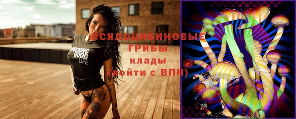 МДПВ Вязьма