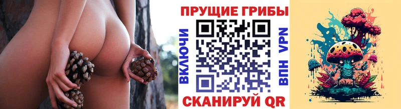Галлюциногенные грибы прущие грибы  Демидов 